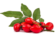 detox tea ingredients rose hip