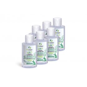 HAND SANITIZING GEL 6 PCS