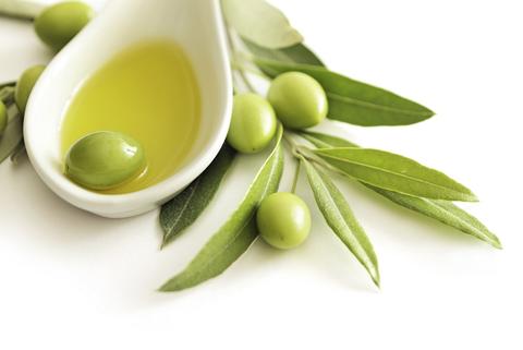 oleuropein olive tree olive leaf benefits