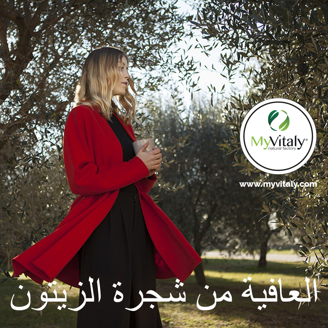Cholesterol_lowering_foods_Instagram_AR