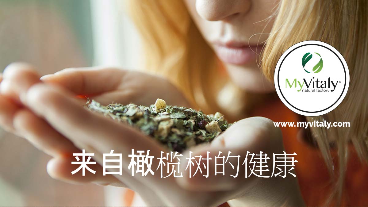 Slimming_Tea_Detox_Diet_Tea_Herbal_Tea_Facebook2_ZH
