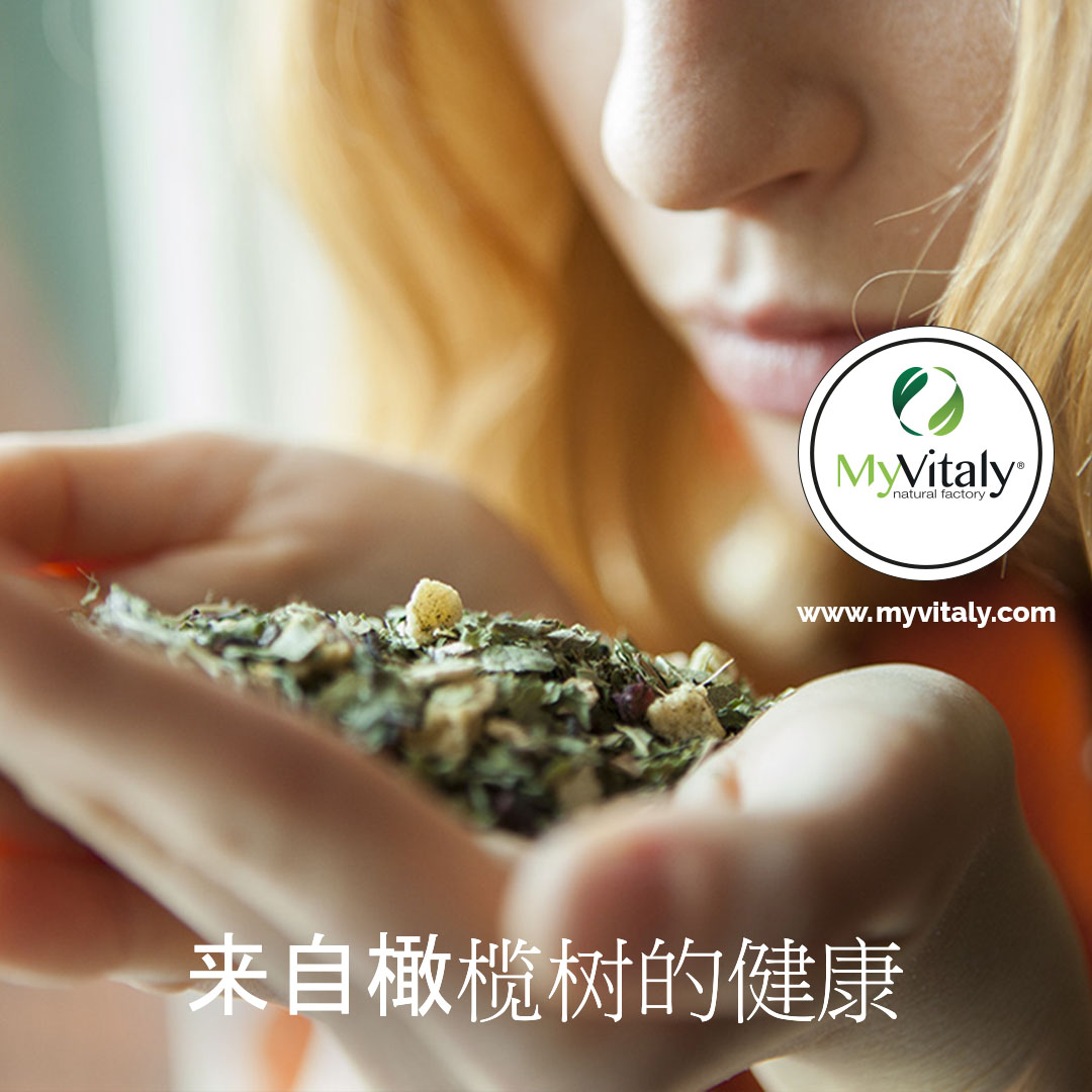 Slimming_Tea_Detox_Diet_Tea_Herbal_Tea_Instagram_ZH