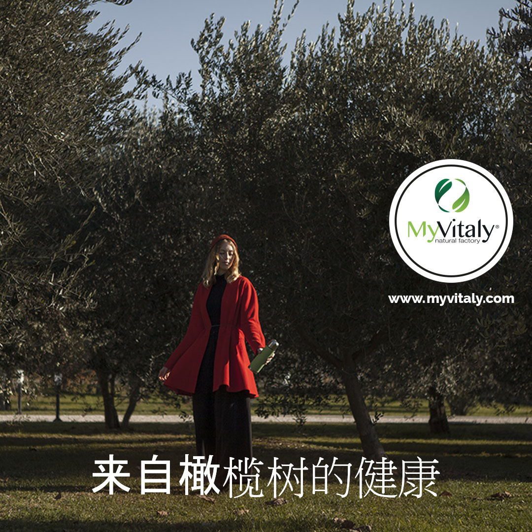 Vegan_Olive_Leaf_Extract_Instagram_ZH