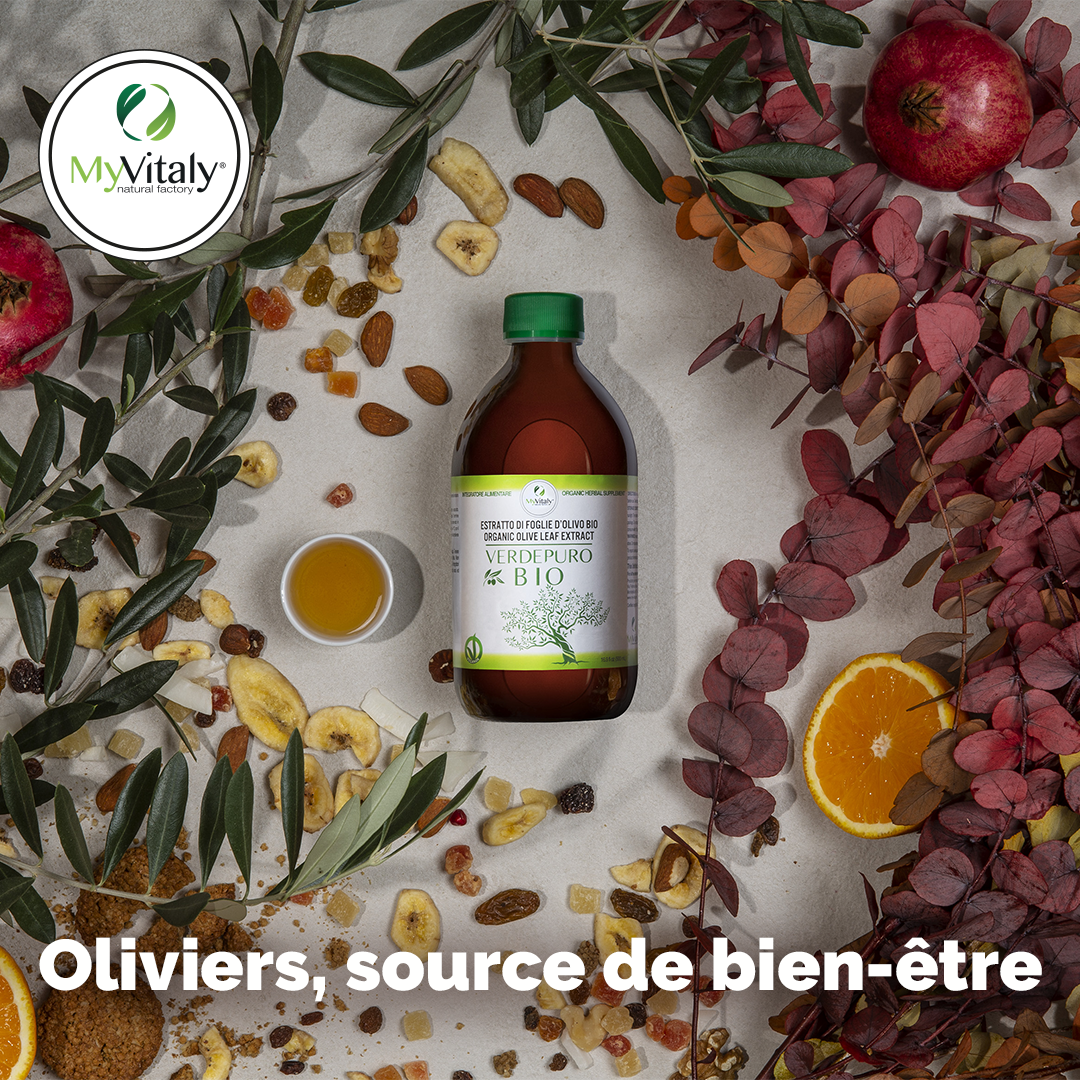 Baisser_le_cholesterol_olivier_biologique_myvitaly_Instagram_FR