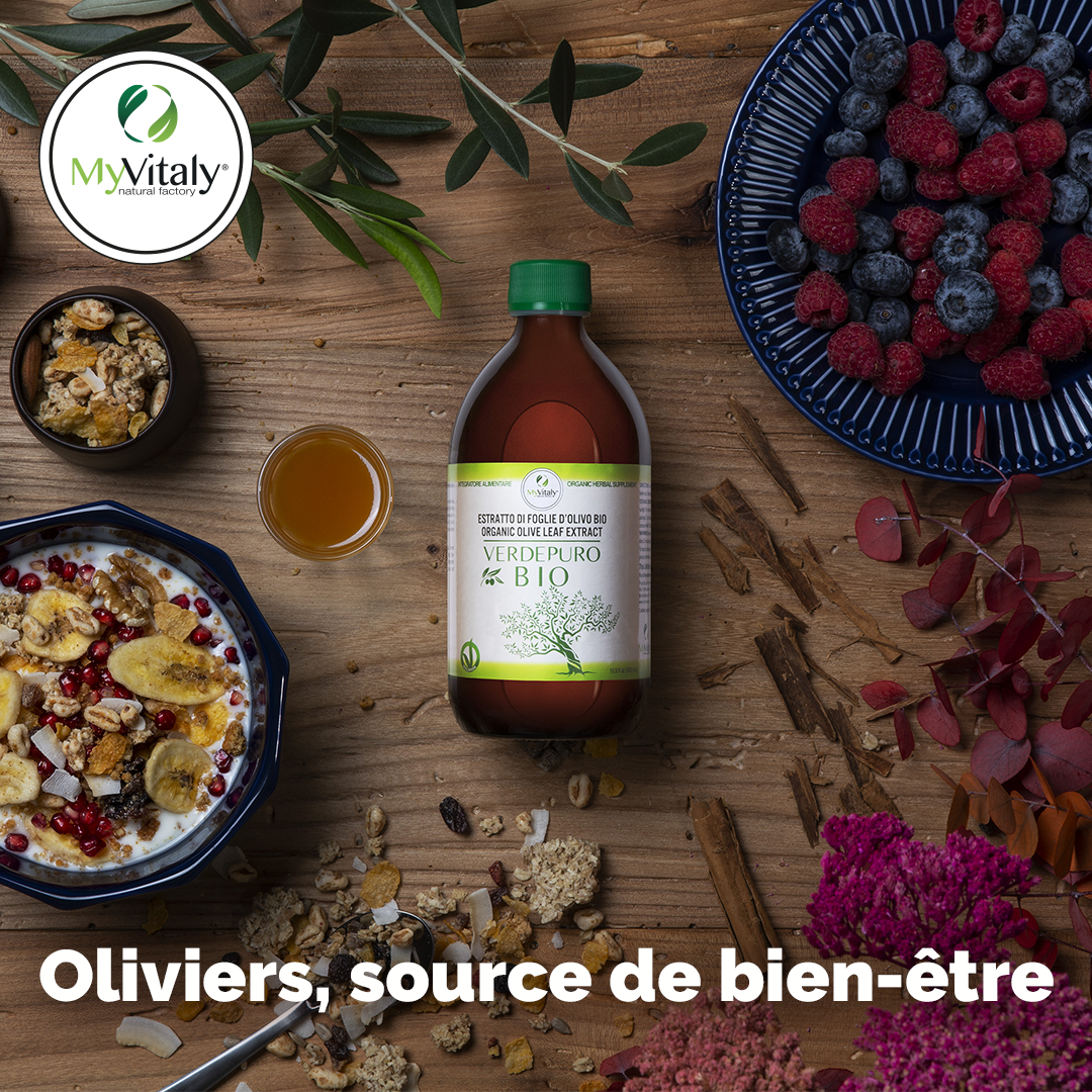 Extrait_feuilles_olivier_biologique_cholesterol_myvitaly_Instagram_FR