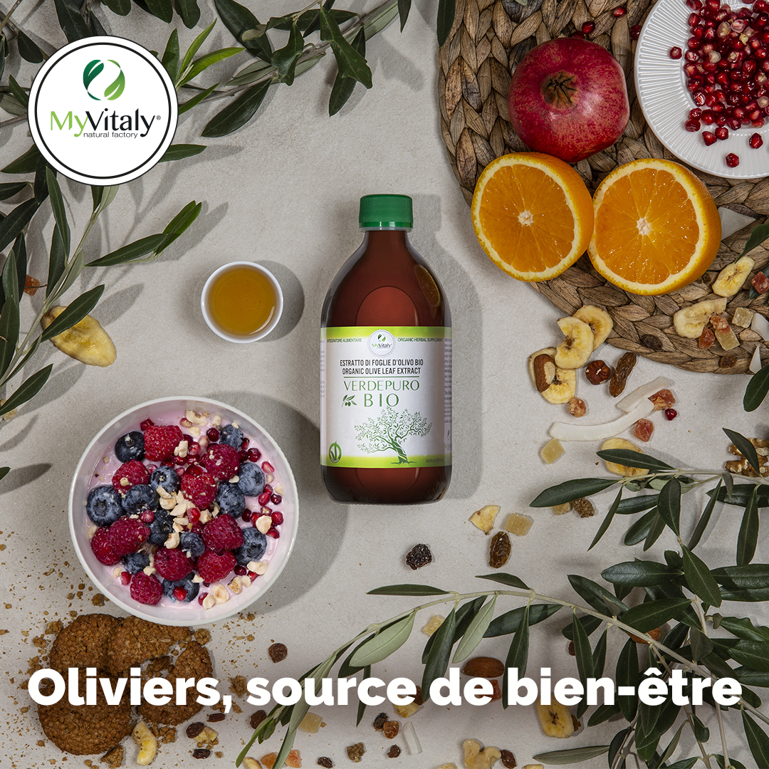 Extrait_feuilles_olivier_biologique_myvitaly_Instagram_FR