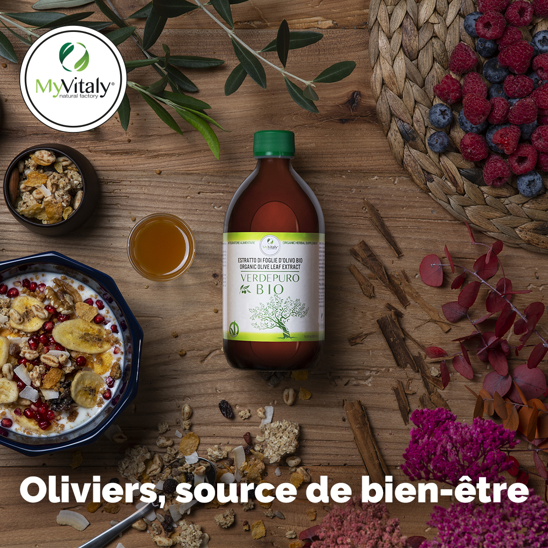 Extrait_feuilles_olivier_biologique_myvitaly_verdepuro_Instagram_FR