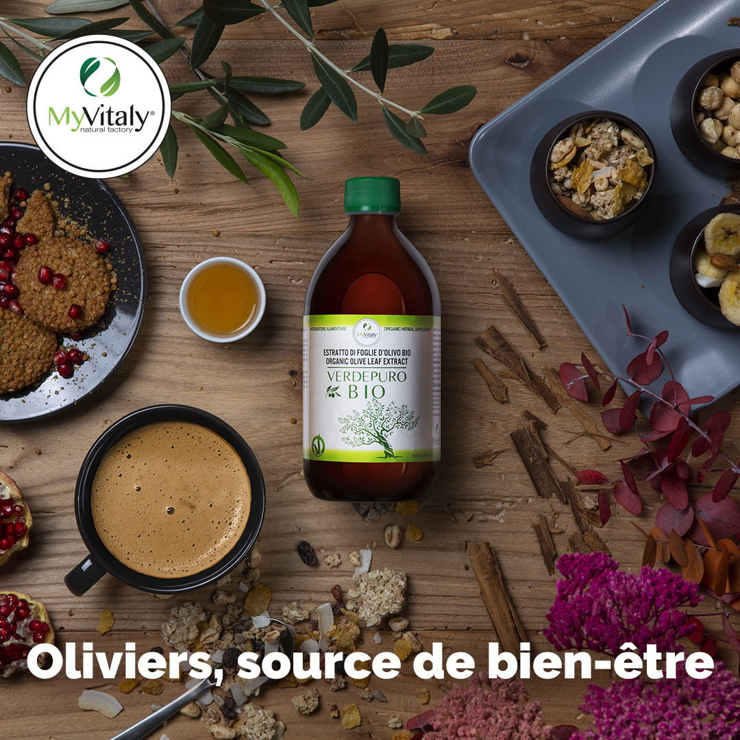 Supplement_cholesterol_olivier_biologique_myvitaly_Instagram_FR
