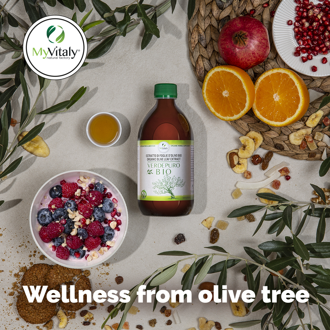 Organic_olive_leaf_extract_Cholesterol_Instagram_EN