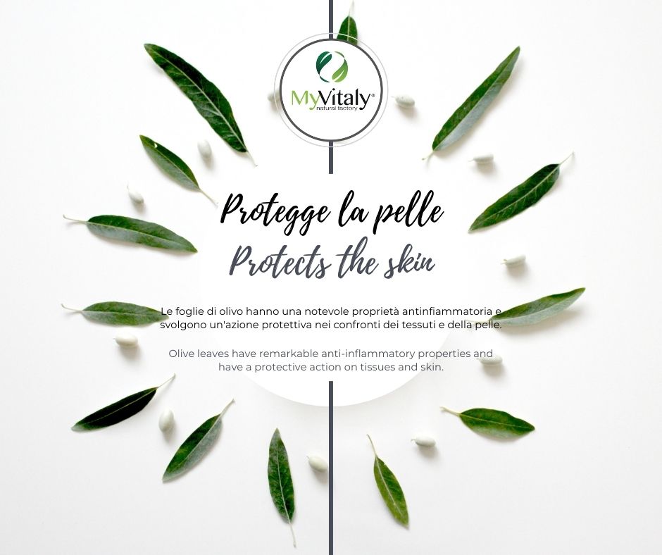 MyVitaly_-_foglie_di_olivo_e_benessere_della_pelle