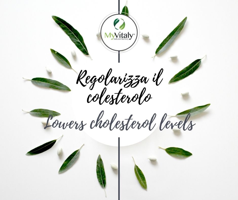 MyVitaly_-_foglie_di_olvo_per_abbassare_il_colesterolo