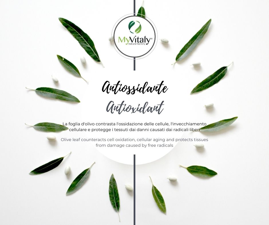 MyVitraly_-_estratto_di_foglie_di_olivo_antiossidante