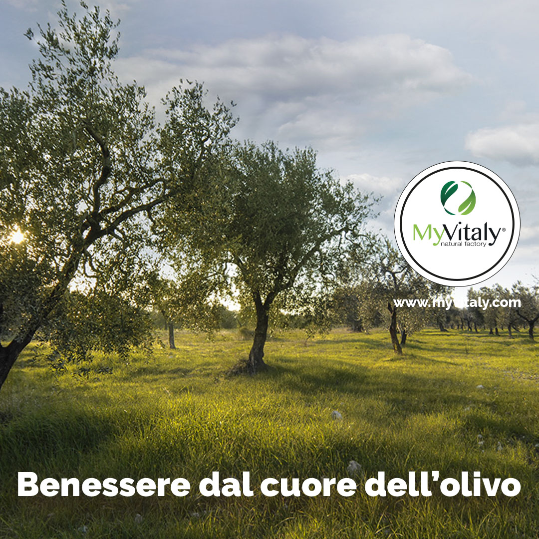 Olive_Trees_Italy_Greece_Instagram_IT