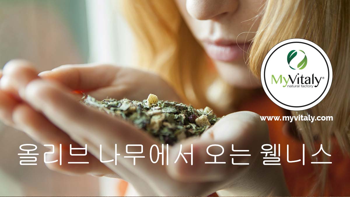 Slimming_Tea_Detox_Diet_Tea_Herbal_Tea_Facebook2_KO