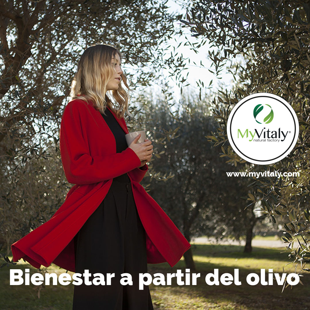 Cholesterol_lowering_foods_Instagram_ES