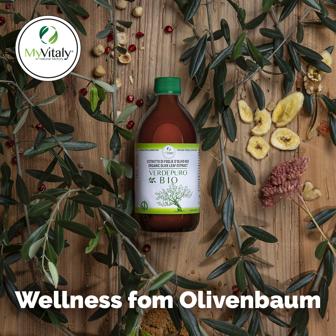 Organic_Cholesterol_lowering_supplement_Instagram_DE