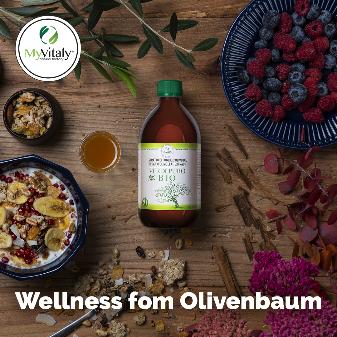 Organic_olive_leaf_cholesterol_myvitaly_Instagram_DE