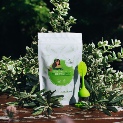 MyDetoxDay&Night