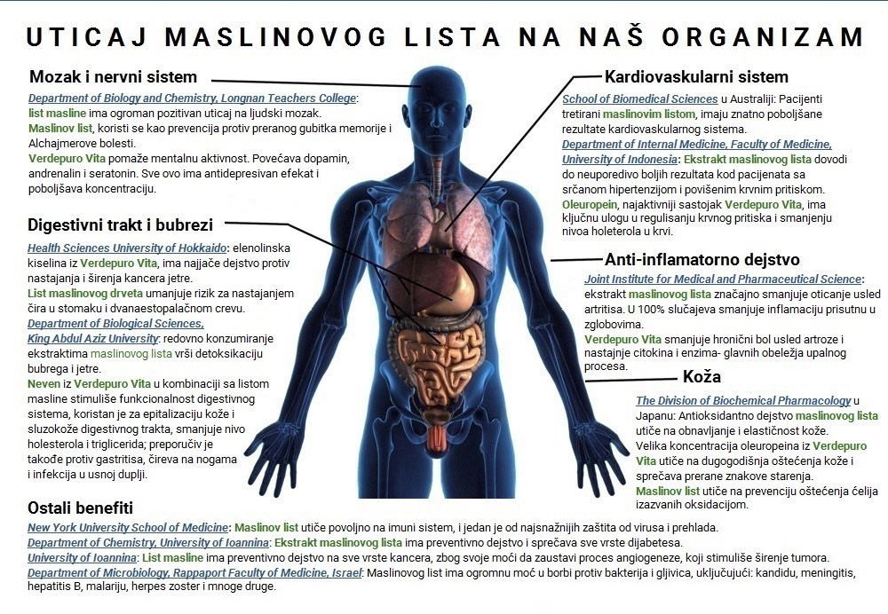 uticaj maslinovog lista na coveka