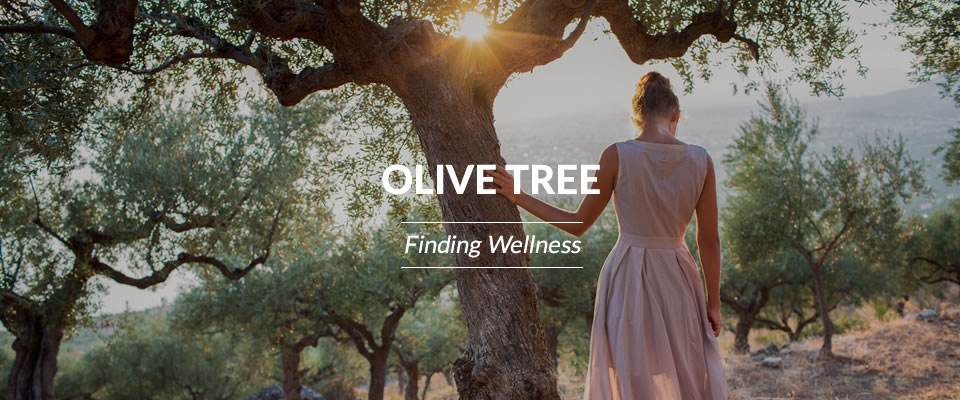 Olive Tree Finding Wellness