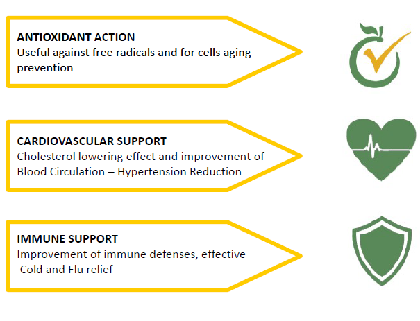 the benefits of polyphenols