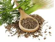 detox tea ingredients Fennel